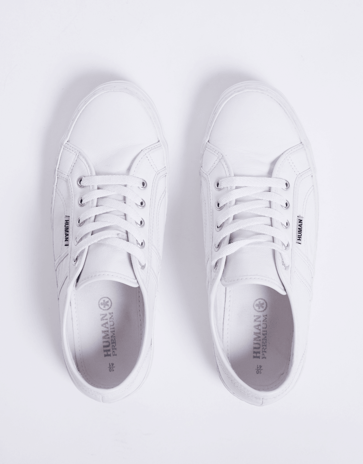 Human Shoes - Cass Leather Sneakers - White - White & Co Living Shoes