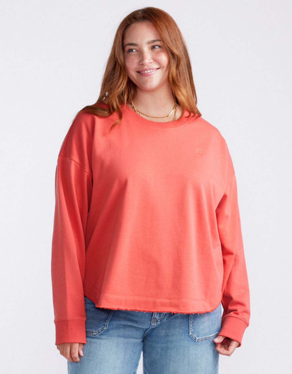plus-model
